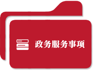 政务服务事项