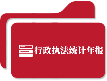 行政执法统计年报